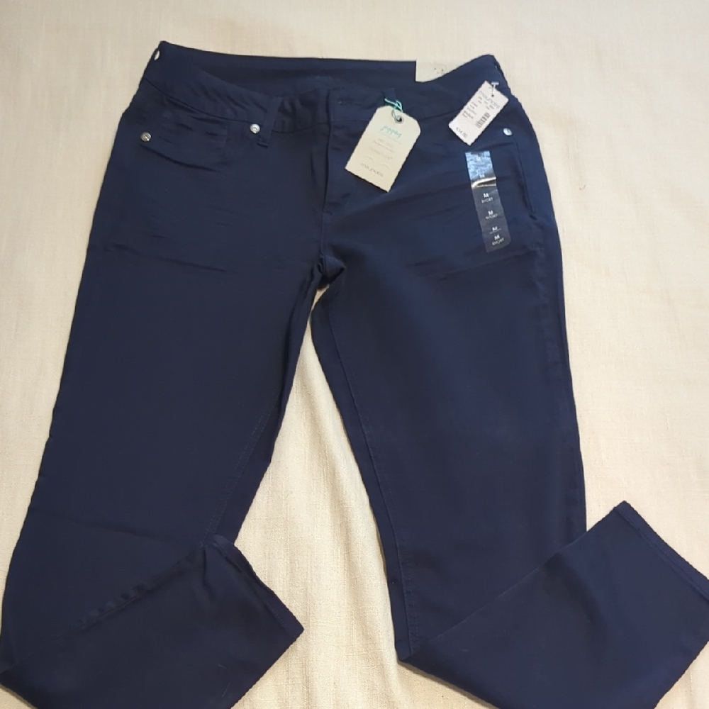 Maurices Deep Blue Jeggings